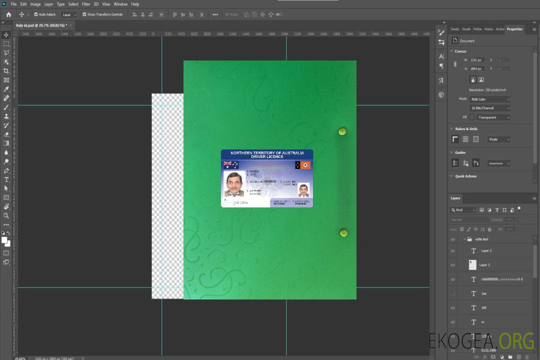 Australie Territoire du Nord permis de conduire photolook recto template Australie Territoire du Nord permis de conduire photolook recto template